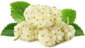 توت مناسب تهیه شیره- خاتون فارم